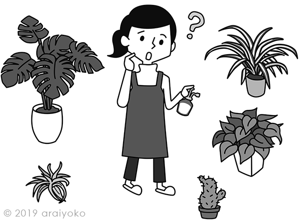 観葉植物を育てている女性のイラストです 公式 イラストレーター アライヨウコ Webサイト